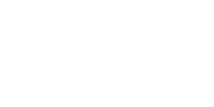 ActiSaf ActiSaf